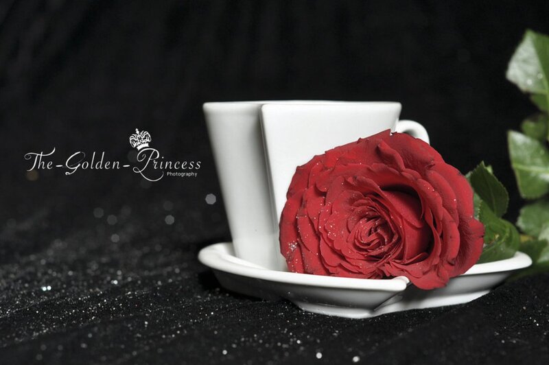 Red Rose and White Cup