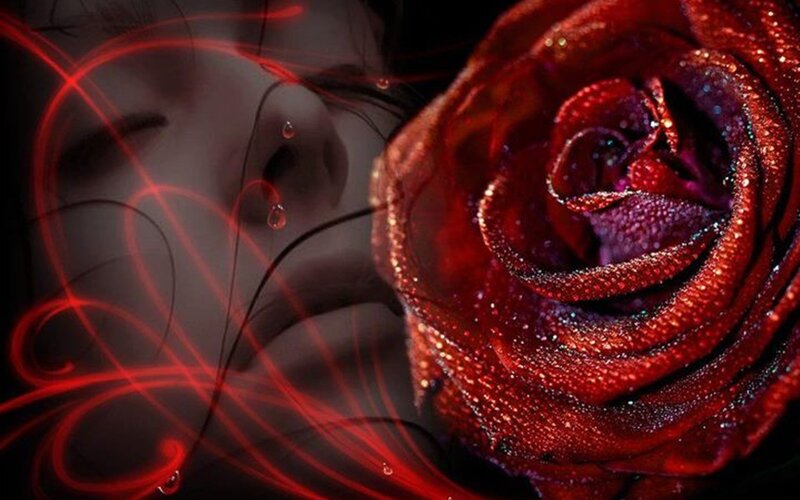 Red Rose and Woman's Face — Dramatic