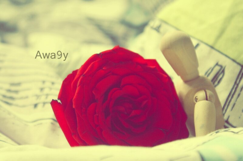 Red Rose and Wooden Figure