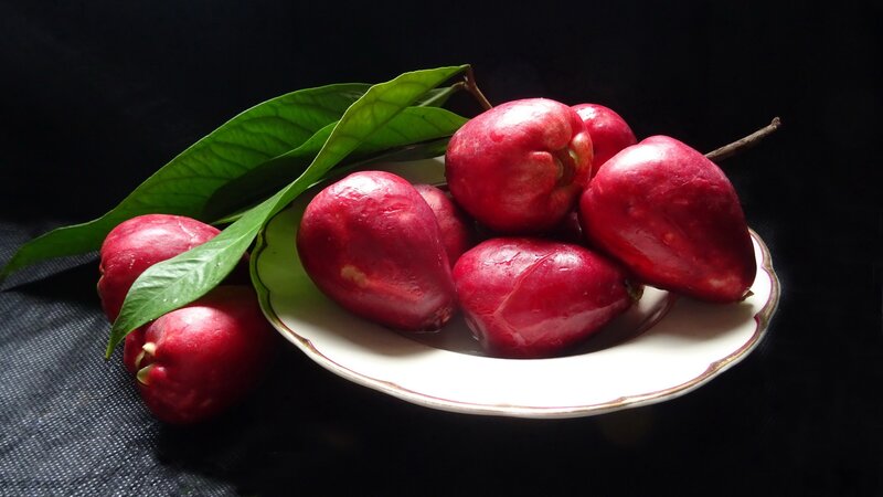 Red Rose Apples on Plate