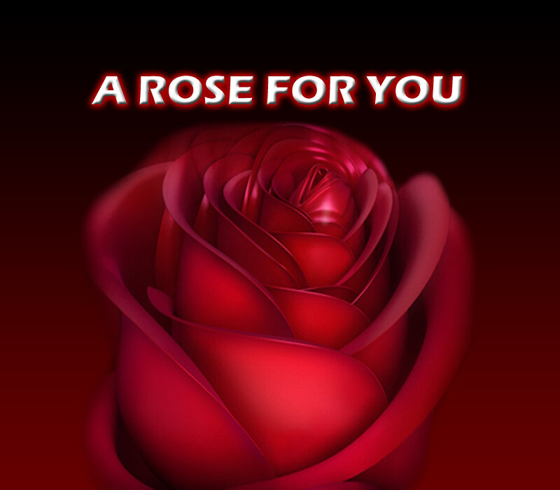 Red Rose Bloom