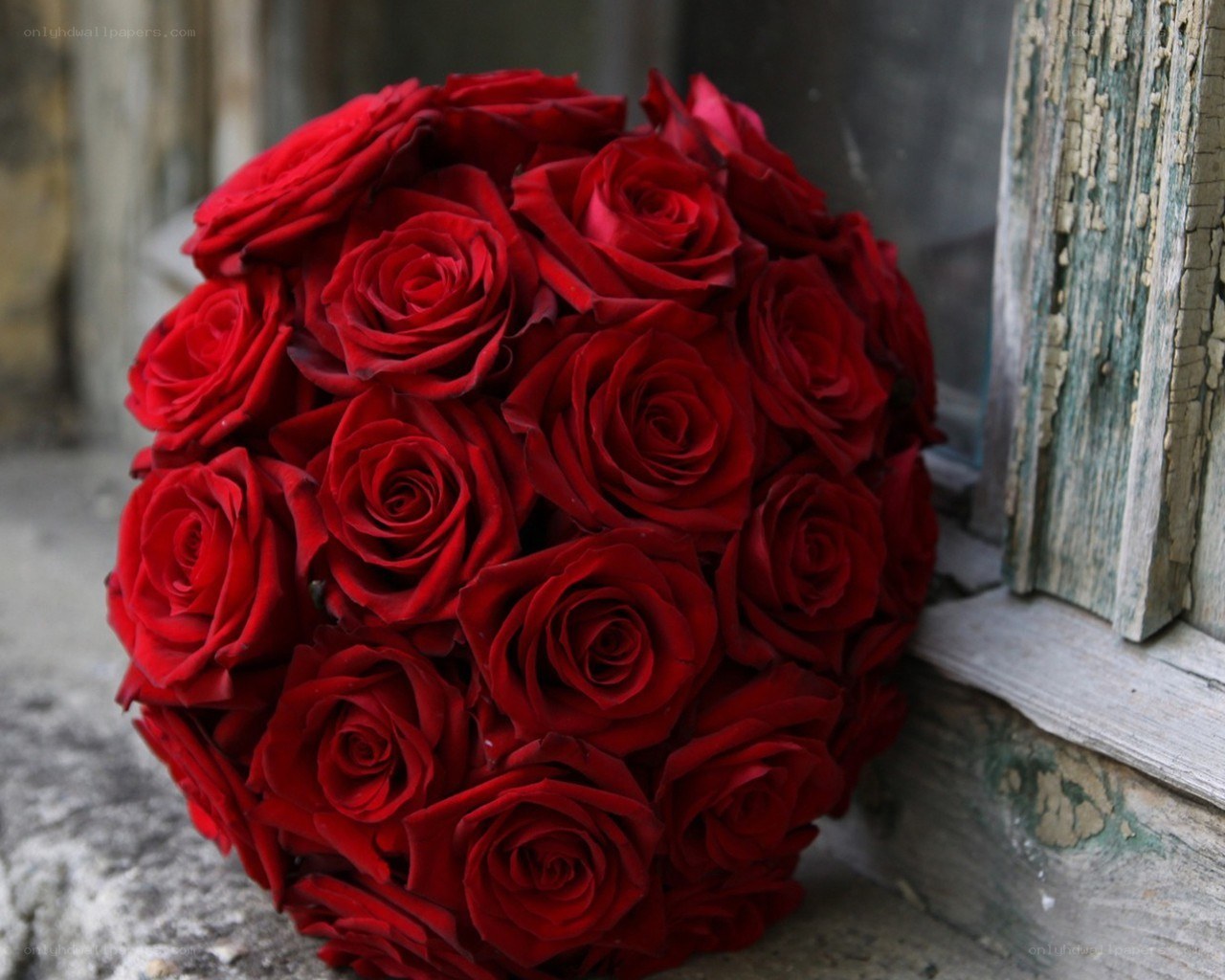 red rose bouquet
