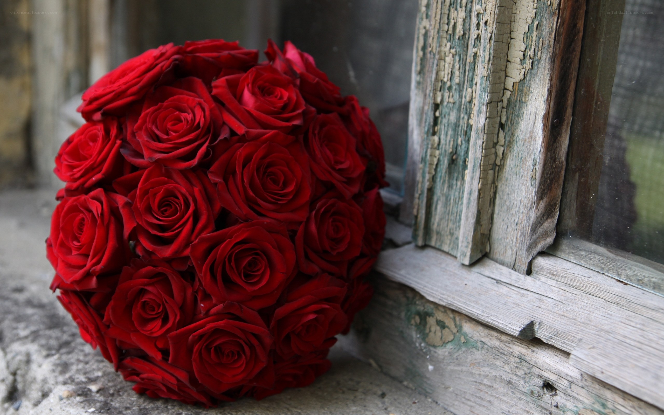 red rose bouquet by window