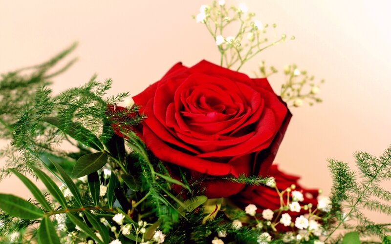 Red Rose Bouquet — Calm, Photograph, Greenery, Baby's Breath