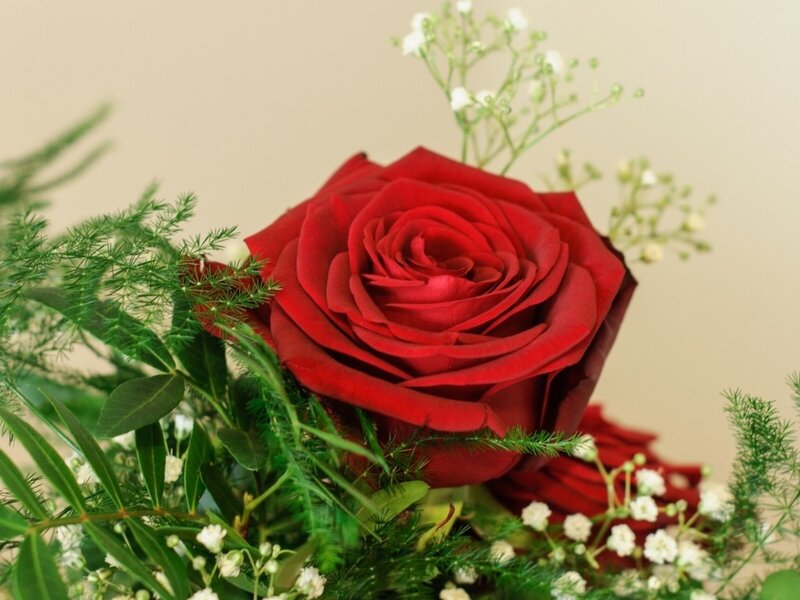 Red Rose Bouquet — Calm, Photograph, Greenery