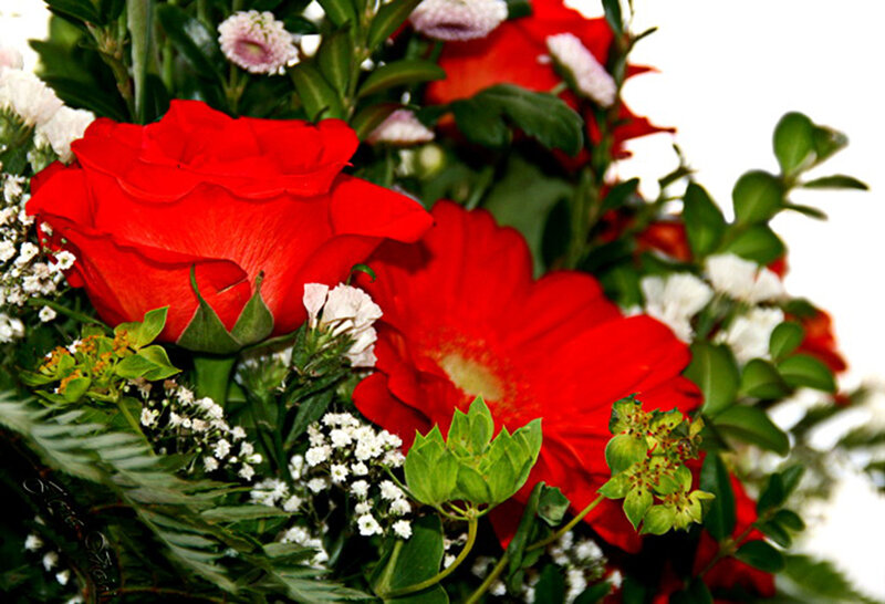 Red Rose Bouquet — Calm, Photograph