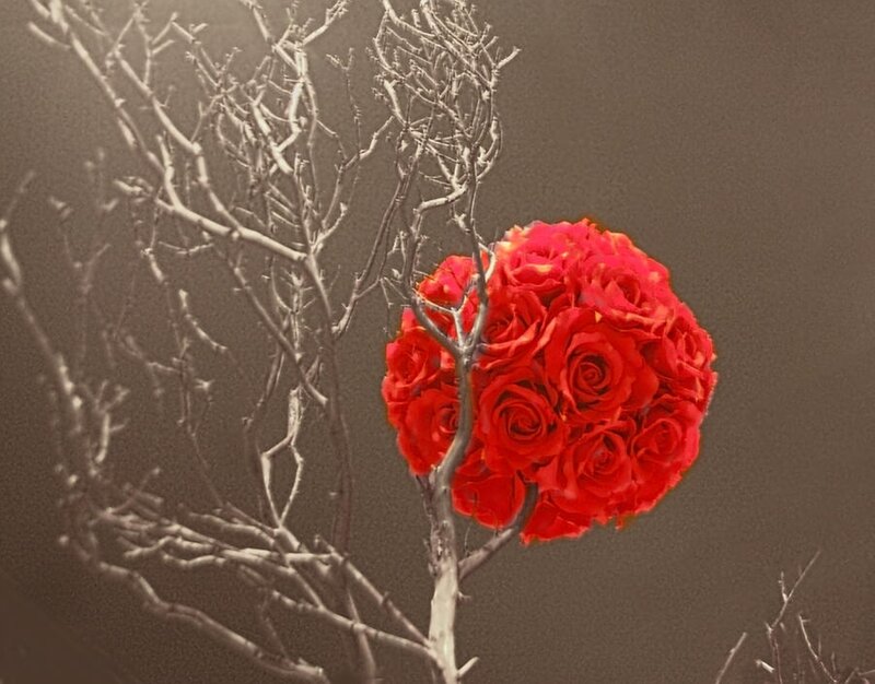 Red Rose Bouquet — Dramatic, Photograph
