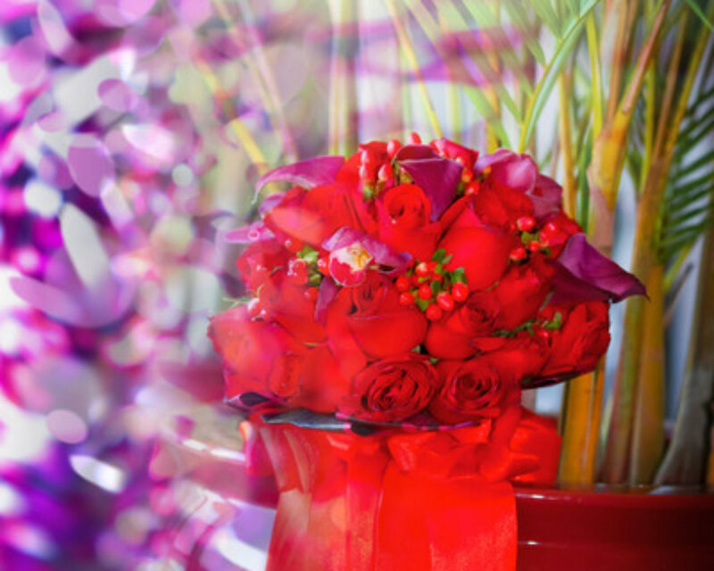Red Rose Bouquet — Festive, Photograph, Berries