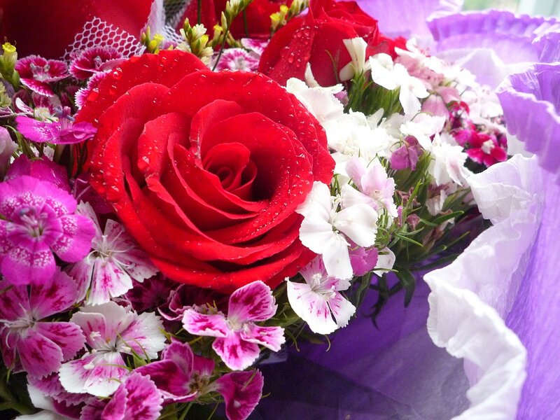 Red Rose Bouquet — Festive, Photograph, Dianthus