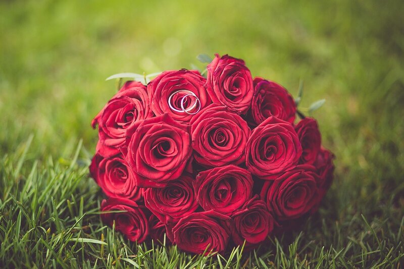 Red Rose Bouquet — Romantic, Afternoon