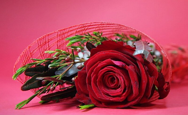 Red Rose Bouquet — Romantic, Photograph, Greenery