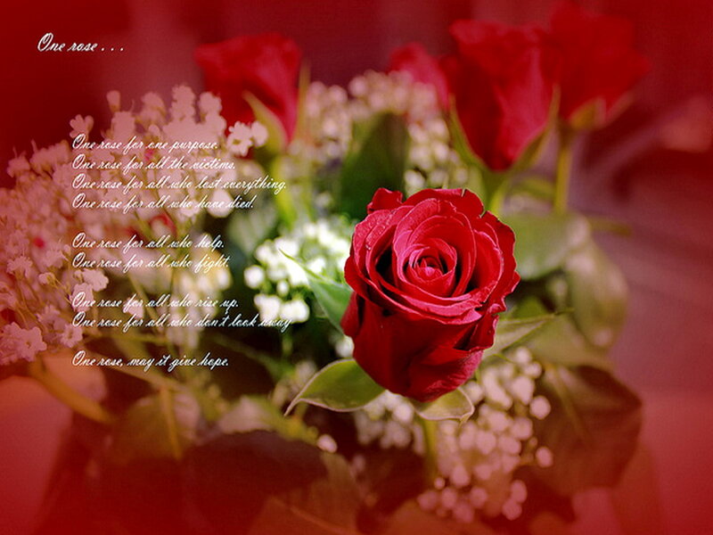 Red Rose Bouquet — Sentimental