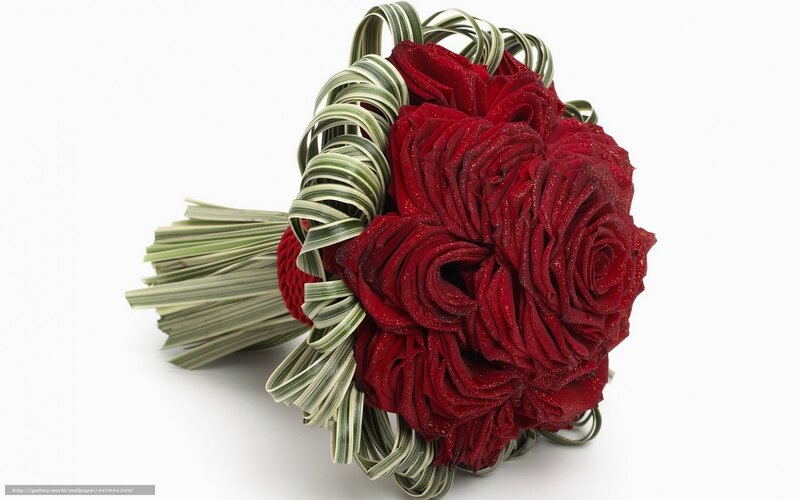 Red rose bouquet with green ribbons