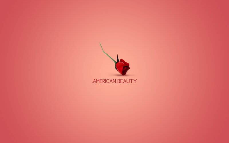 Red Rose Bud — Calm, Minimalist