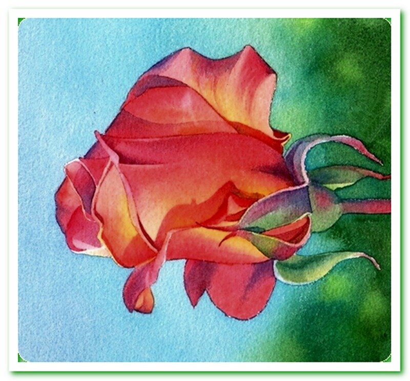 Red Rose Bud — Calm, Painting