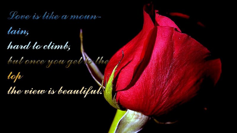 Red Rose Bud — Dramatic, Photograph, Text