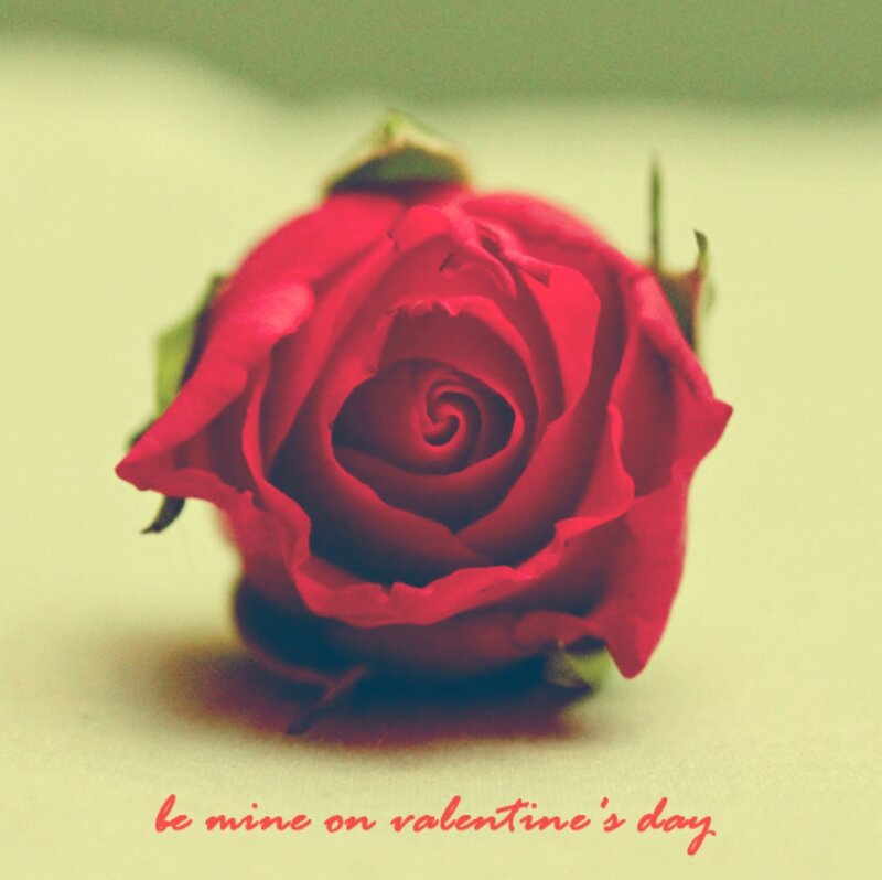 Red Rose Bud — Romantic, Photograph