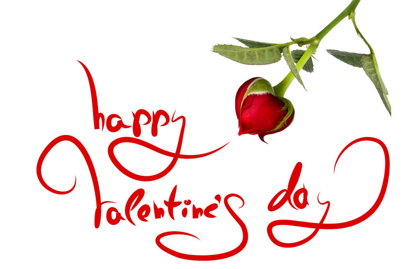 Red Rose Bud — Romantic