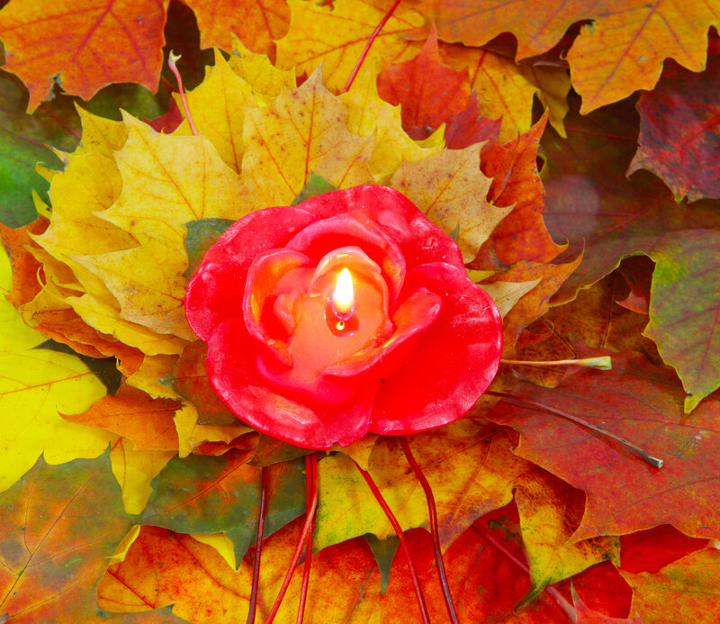 Red Rose Candle — Warm