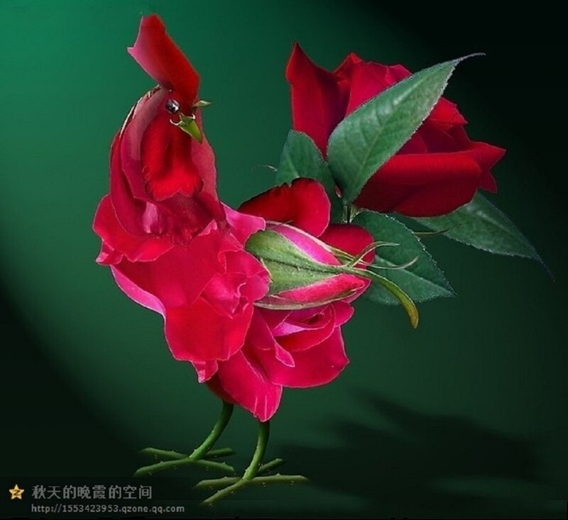 Red Rose Chicken