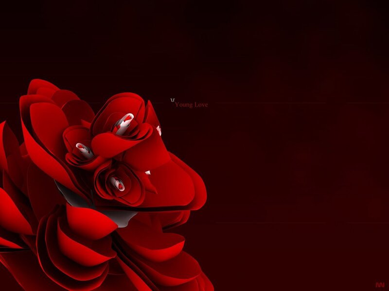 Red rose digital art