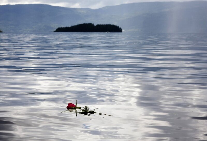 Red rose floating on a lake