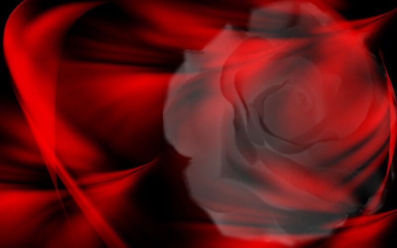 Red Rose Flower — Dramatic, Digital Art, Fabric