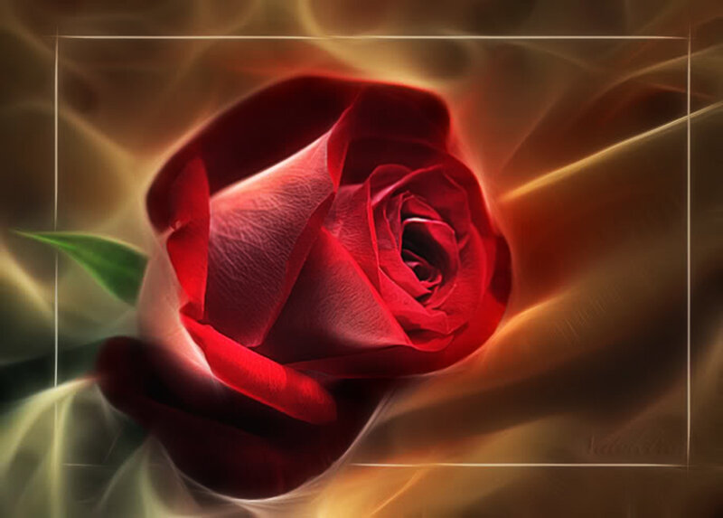 Red Rose Flower — Dramatic, Digital Art, Green Leaf