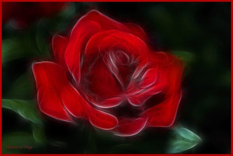 Red Rose Flower — Dramatic, Digital Art, Green Leaves