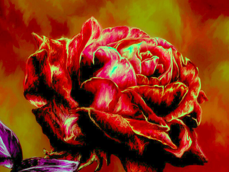 Red Rose Flower — Dramatic, Digital Art, Leaf