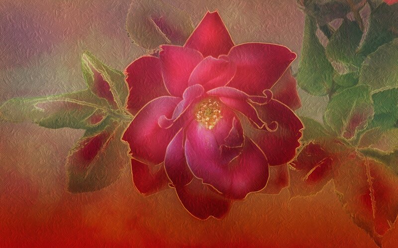 Red Rose Flower — Dramatic, Digital Art, Leaves