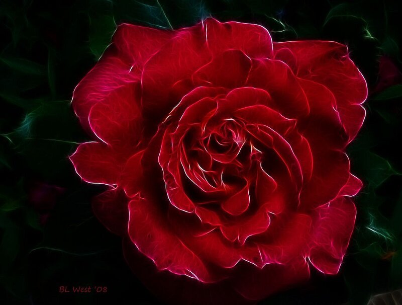 Red Rose Flower — Dramatic, Digital Art, Petals, Leaves