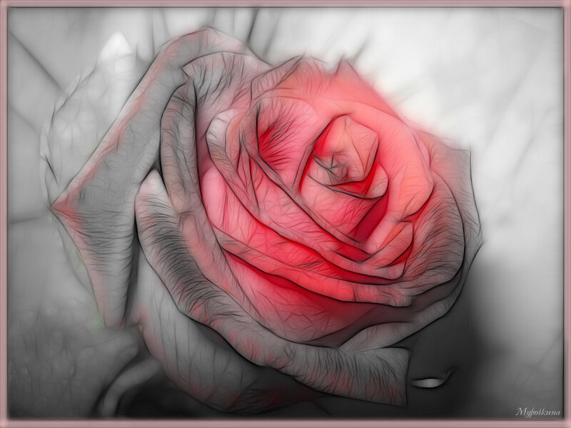 Red Rose Flower — Dramatic, Digital Art, Petals