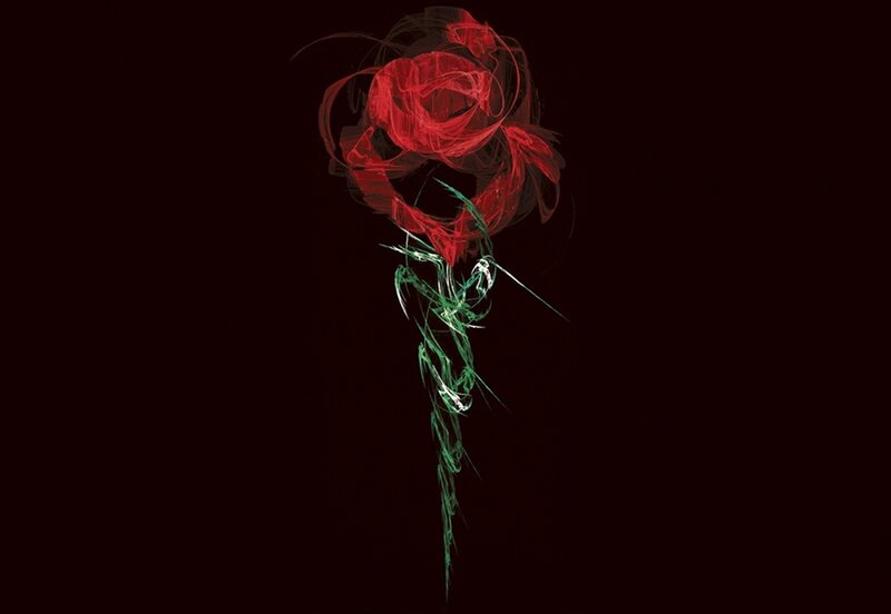 Red Rose Flower — Dramatic, Digital Art, Stem, Petals