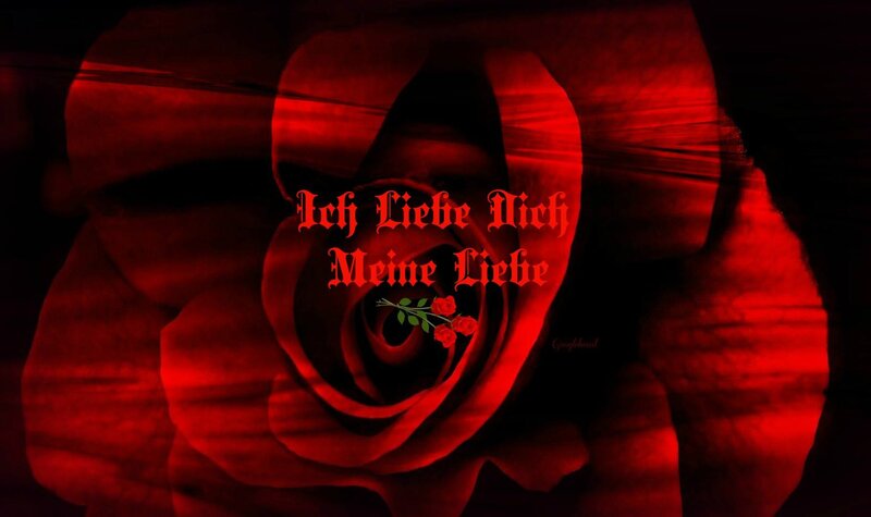 Red Rose Flower — Dramatic, Digital Art, Text