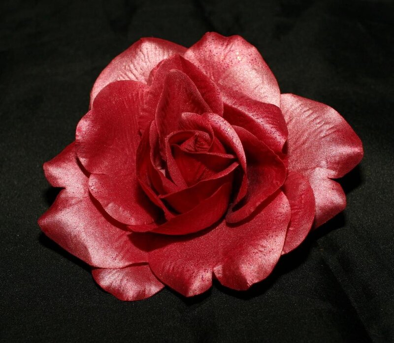 Red Rose Flower — Dramatic, Photograph, Black Fabric