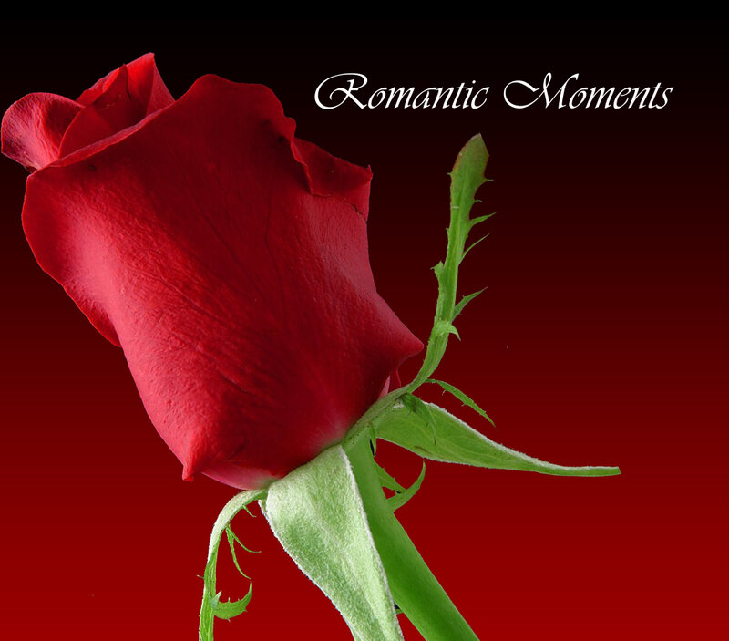 Red Rose Flower — Romantic, Photograph