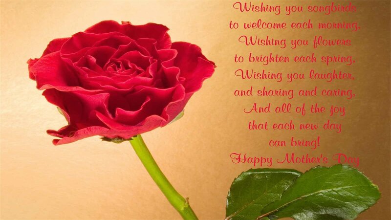 Red Rose Flower — Sentimental, Photograph, Stem
