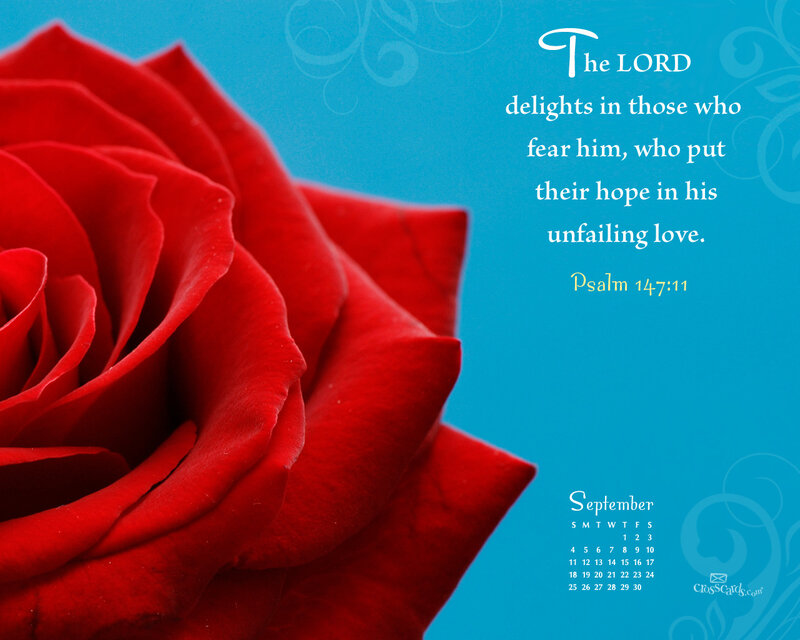 Red Rose Flower — Serene, Photograph, Calendar