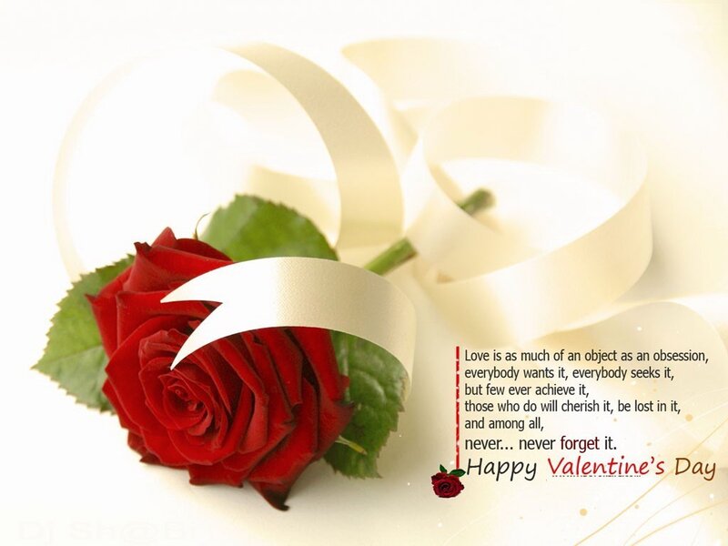 Red rose for Valentine's Day