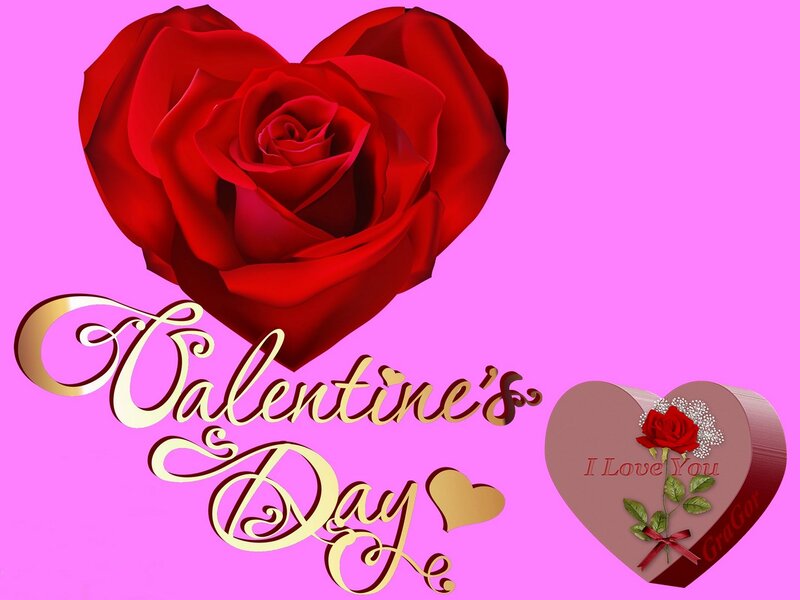 Red Rose Heart — Pink