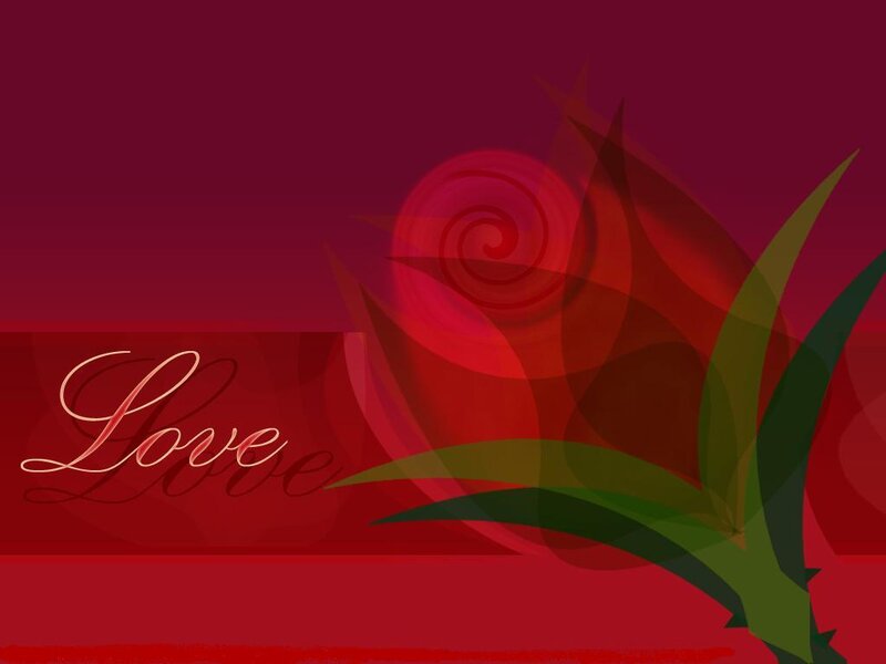 Red Rose Illustration — Romantic