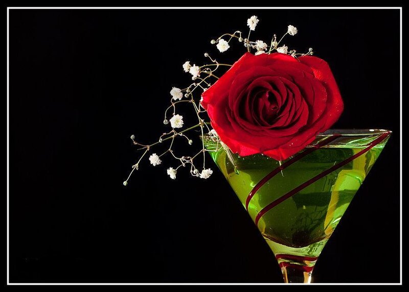 Red rose in a martini glass
