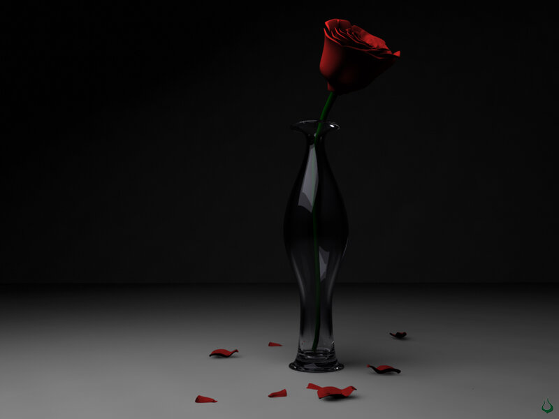 Red rose in a vase