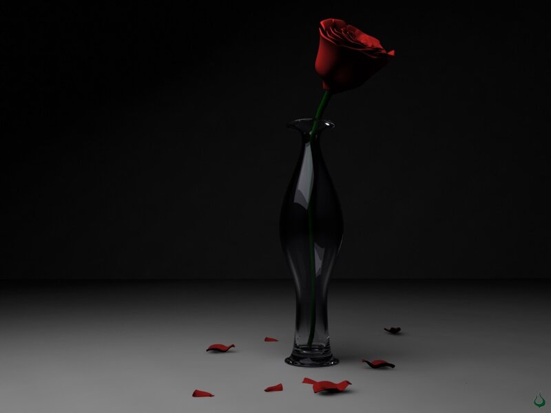 red rose in a vase