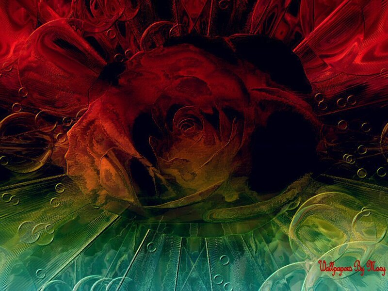 Red Rose in Abstract Art