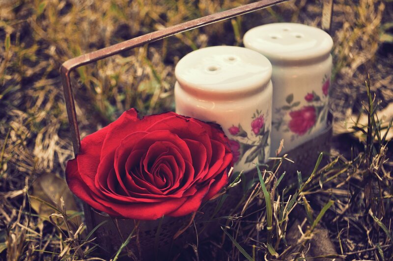Red Rose in Basket — Serene