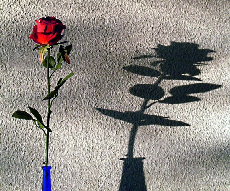 Red Rose in Blue Vase — Dramatic