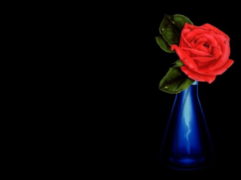 red rose in blue vase