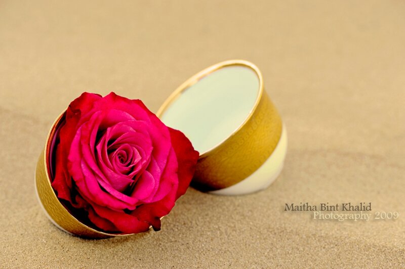 Red Rose in Box